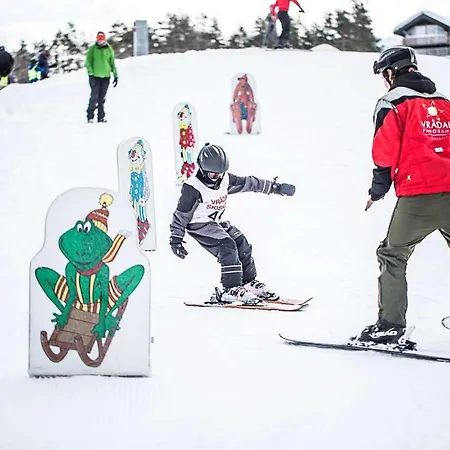 Vraadal Ski In/ski Out *
