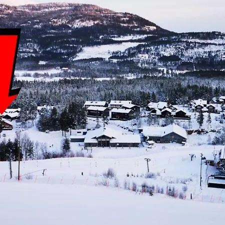 Vraadal Ski In/ski Out Διαμέρισμα Strond
