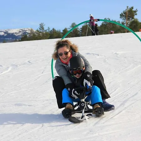 Vraadal Ski In/ski Out