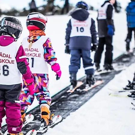 Vraadal Ski In/ski Out Διαμέρισμα *